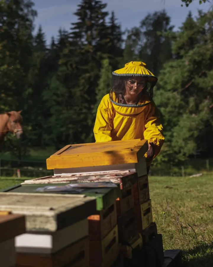 A beekeeper in a yellow bee suit opening a hive in a Finnish pasture